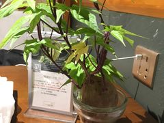 -十二舍·湯物素煮(江泰潤政店)