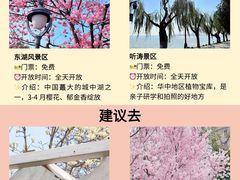 -武汉长江大桥
