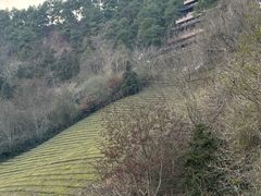 -敬亭山风景名胜区
