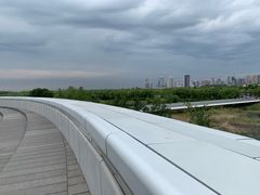 -哈尔滨大剧院