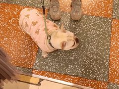 -益华家菜屋(世茂店)