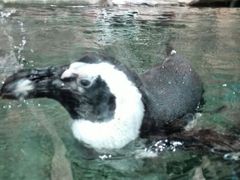 android_upload_pic-新疆天山野生动物园