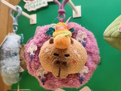 -猫的天空之城概念书店(苏州诚品店)