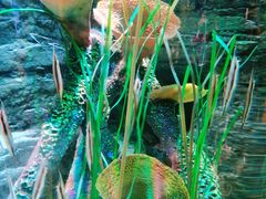 -沈阳海洋探索中心