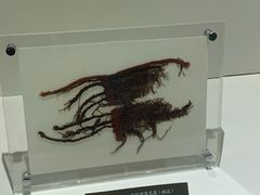 -上海纺织博物馆