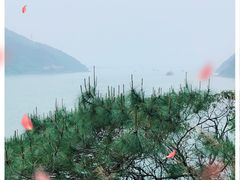 -羚羊峡古栈道森林公园