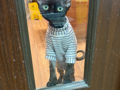 -瑞派·关忠动物医院·异宠专科·犬猫肿瘤·皮肤专科(望京店)