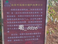 -东湖落雁景区