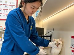 -御宝贝24h宠物医院·转诊中心·CT核磁血透中心(厦门总院)