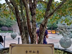 -杭州少年儿童公园