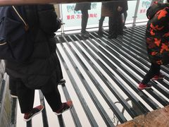 -梦幻奥陶纪景区