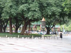 -顺峰山公园