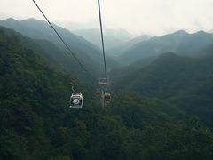 -栾川竹海野生动物园