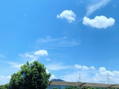 -冠豸山景区