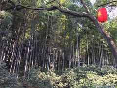 -杭州黄龙洞