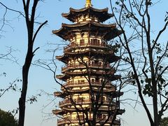 -洋湖国家湿地公园