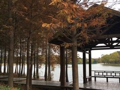 -昆山城市生态森林公园