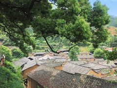 -杨家堂村