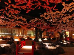 -蓝鲸湾汤泉(包河店)