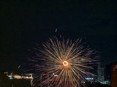 -光明农场大观园