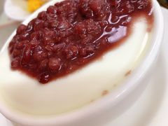 -义顺牛奶公司(板樟堂店)