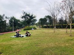 -铁山坪森林公园