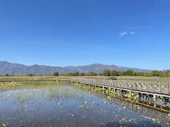 -野鸭湖国家湿地公园