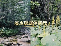 -秦岭风景区