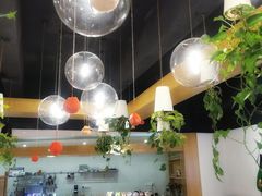 -柴务处·柴犬主题狗咖