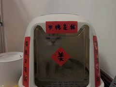 -心语宠物医院·急重症转诊中心·瑞辰华诺(南青路店)