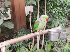 -南宫五洲植物乐园