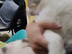 -谜盒子奇幻密室(南屏店)
