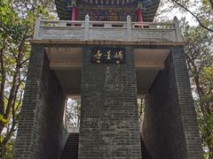 -青龙山国家森林公园