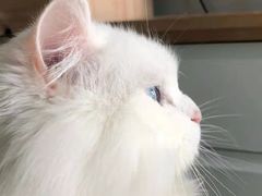 -宠颐生宠物医院·骨外科·犬猫全科诊疗中心(池州店)