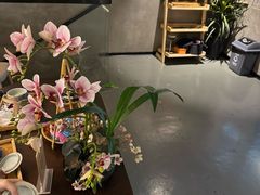 -施奈儿.洗头頭療.按摩SPA.采耳(上梅林店)