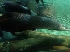 -苏州海洋馆