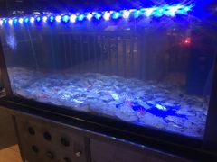 -三亚胜意海景酒店·海鲜自助餐厅(三亚湾路店)