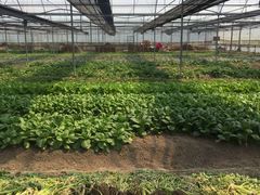 -上海多利农业发展有限公司