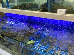 水产区-大众海鲜(巨龙北路店)