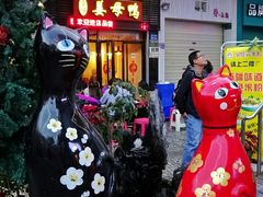 -宝旺姜母鸭(顶澳仔猫街店)