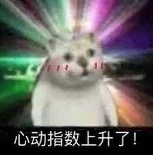-韩热集市(百源店)
