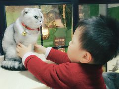 -李小姐の猫咖啡馆(五角场店)