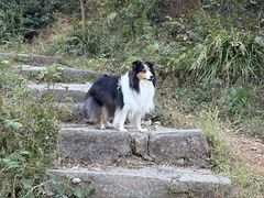 -青龙山国家森林公园
