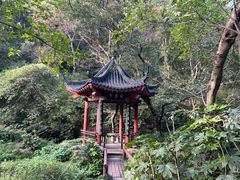 -句容茅山景区