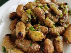 -天强农家菜馆