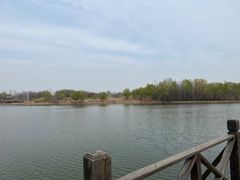 -溱湖国家湿地公园