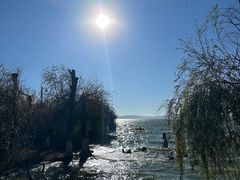 -捞渔河湿地公园