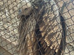 -青藏高原野生动物园