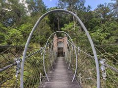 -海南热带雨林国家公园吊罗山景区