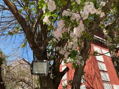 -天幕新彩云国际影城(激光巨幕店)